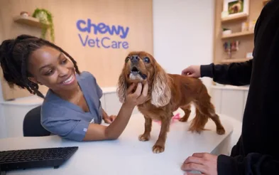 Chewy veterinary care system dashboard showing prescription triage workflow